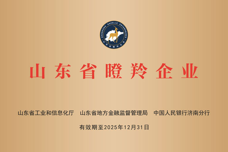 晨宇電氣榮獲山東省&ldquo;瞪羚企業(yè)&rdquo;